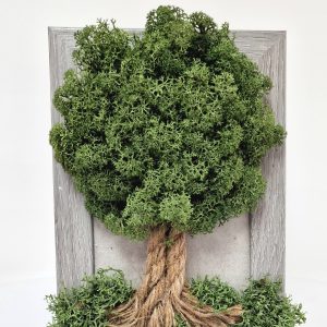 картина с мъх